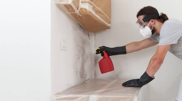 Professional Crawl Space Mold Remediation technician working in Bellevue, MI