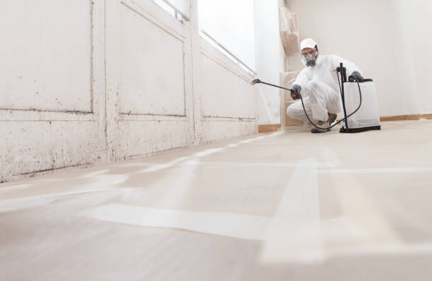 24/7 Emergency Crawl Space Mold Remediation experts in Bellevue, MI