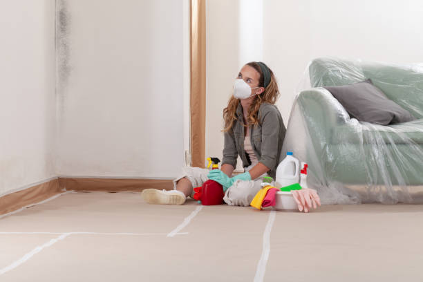 Reliable Crawl Space Mold Remediation contractor in Bellevue, MI by 24 Hour Mold Removal